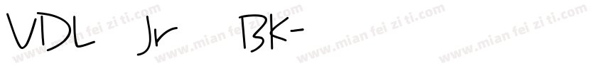 VDLロゴ JrブラックBK字体转换